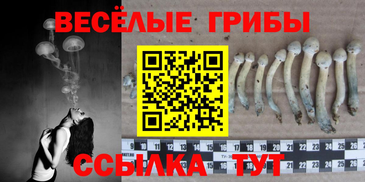 Псилоцибиновые грибы мухоморы  Вход с VPN  Галлюциногенные грибы прущие грибы  Семёнов 